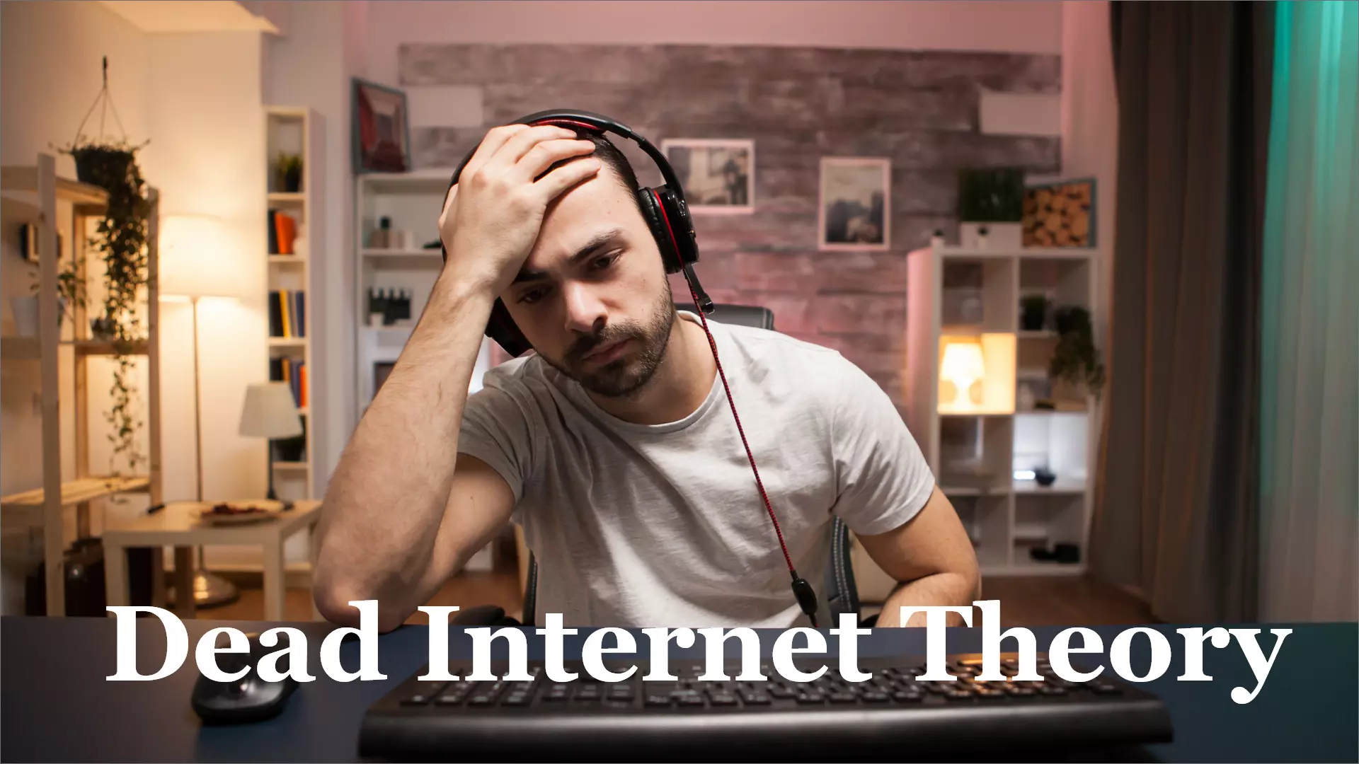 Explore dead internet theory